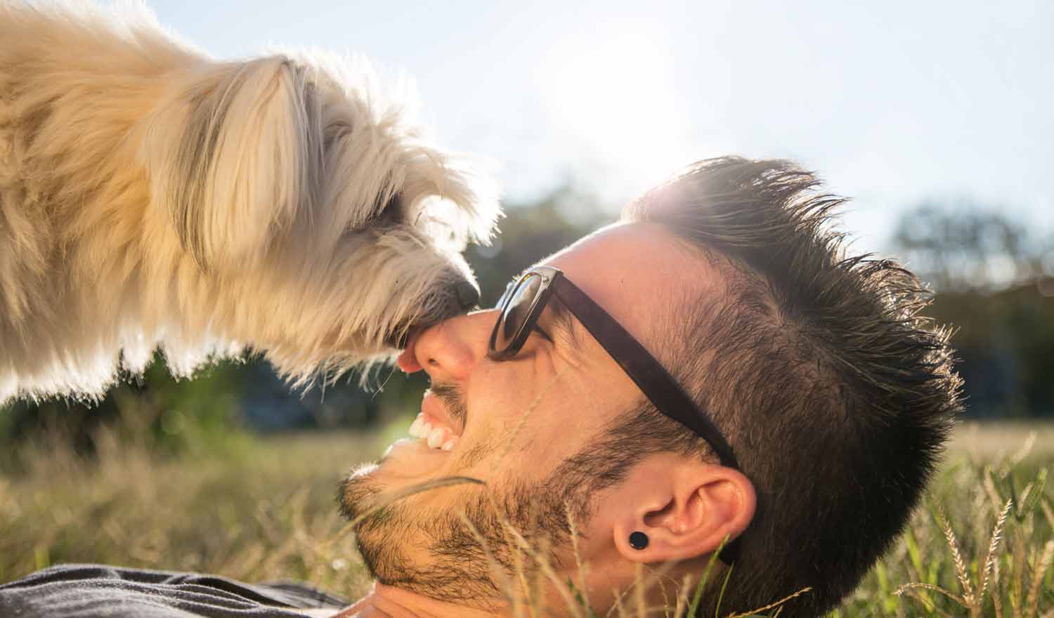 Ansiedad en Perros: El Poder del CBD para Aliviarla