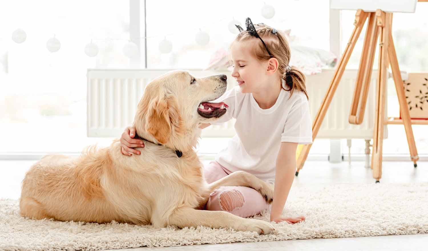 Artritis en Perros: El CBD como Tratamiento Prometedor.