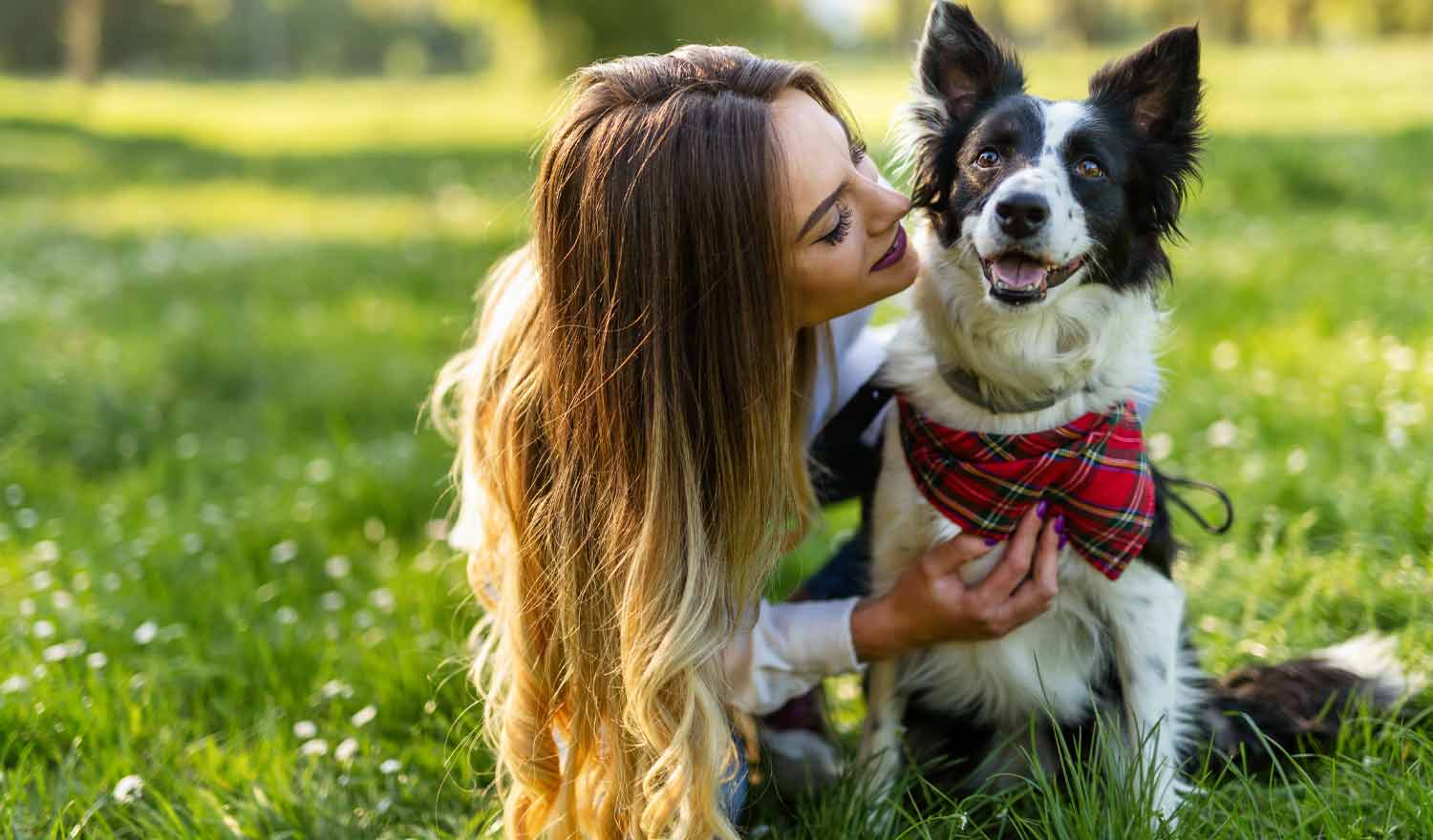 CBD para Mascotas:  ¿Cómo Puede Mejorar su Calidad de Vida?